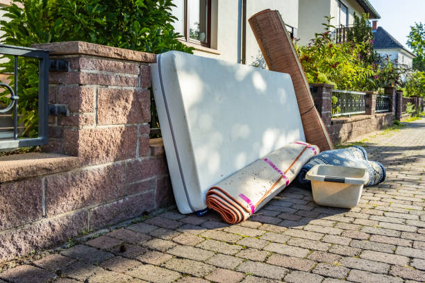 Best Yard Cleanup Services  in Edmonston, MD